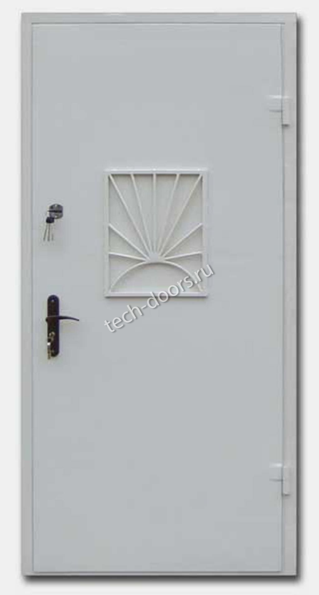 Дверь техническая однопольная кассовая 980x2050 с решеткой